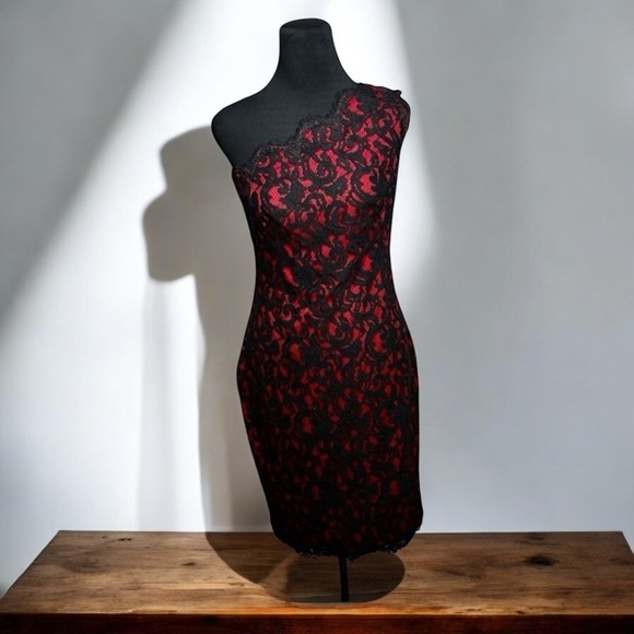 Tadashi Shoji Dress Red Embroidered Lace Sheath SZ 6 Whimsigoth Y2K Christmas - Picture 16 of 16